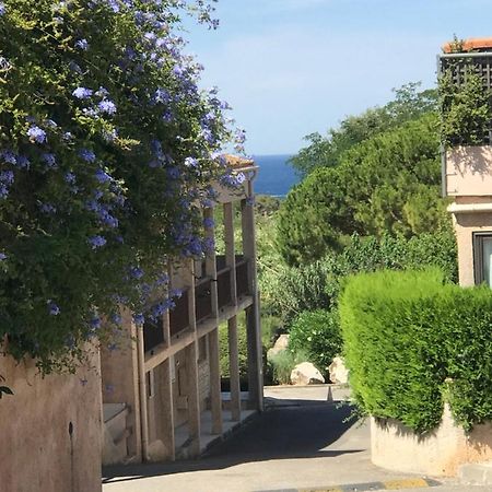 Studio 2 Adultes 2 Enfants Sanary Sur Mer A 800M De La Mer Dış mekan fotoğraf