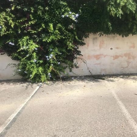 Studio 2 Adultes 2 Enfants Sanary Sur Mer A 800M De La Mer Dış mekan fotoğraf