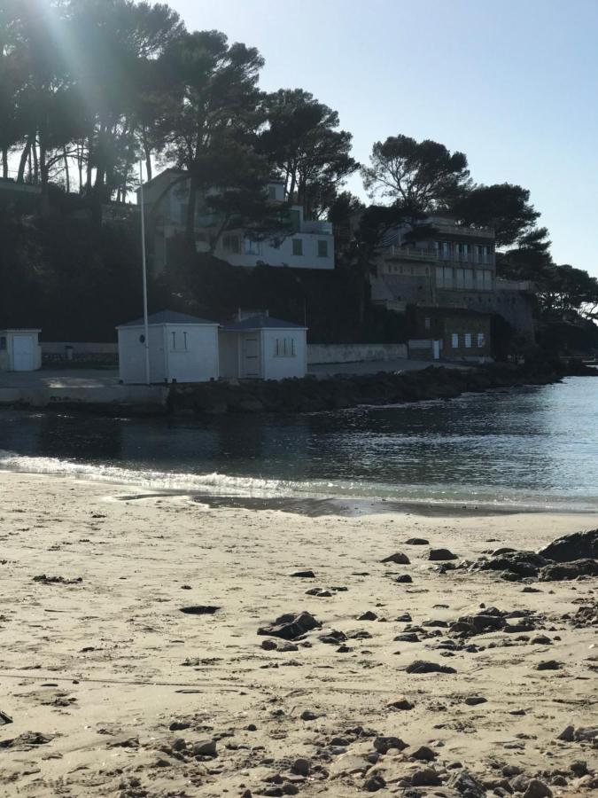 Studio 2 Adultes 2 Enfants Sanary Sur Mer A 800M De La Mer Dış mekan fotoğraf