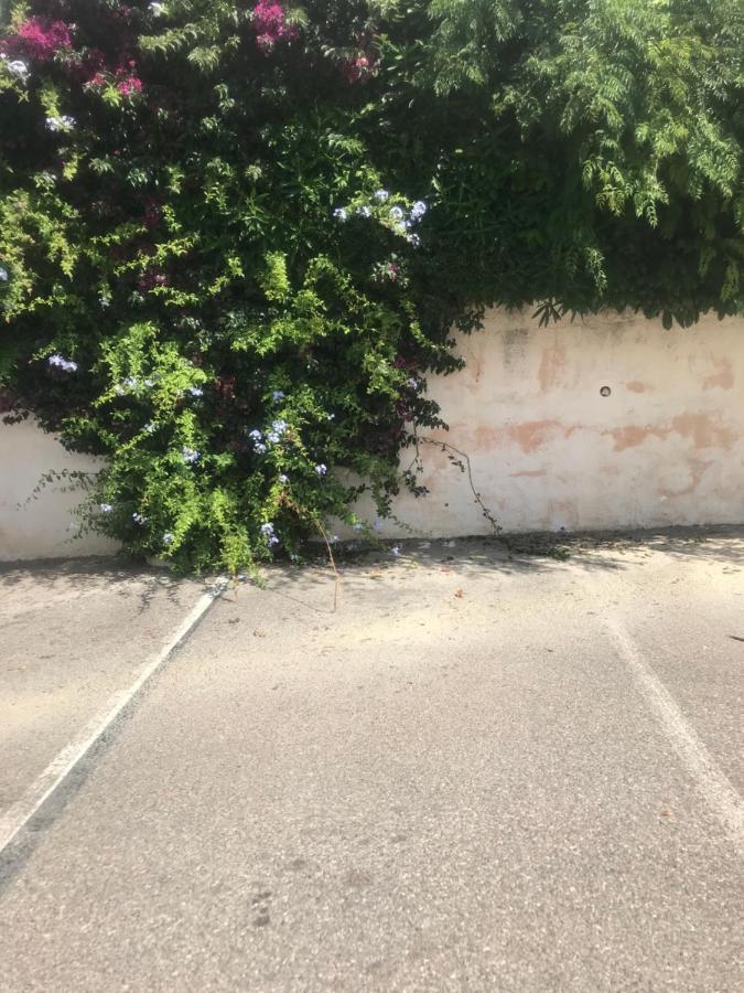 Studio 2 Adultes 2 Enfants Sanary Sur Mer A 800M De La Mer Dış mekan fotoğraf